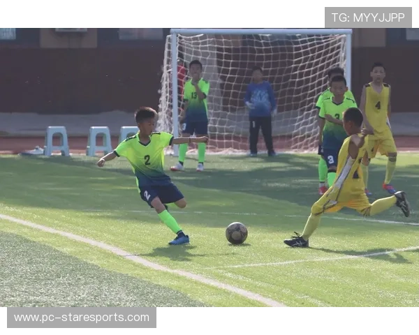 足球场上的十大恶名球员揭示他们的脏技与争议瞬间